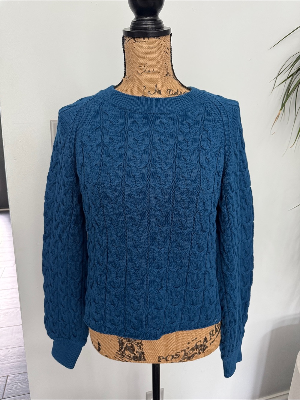 J. Crew Blue Cable-Knit Crewneck Sweater